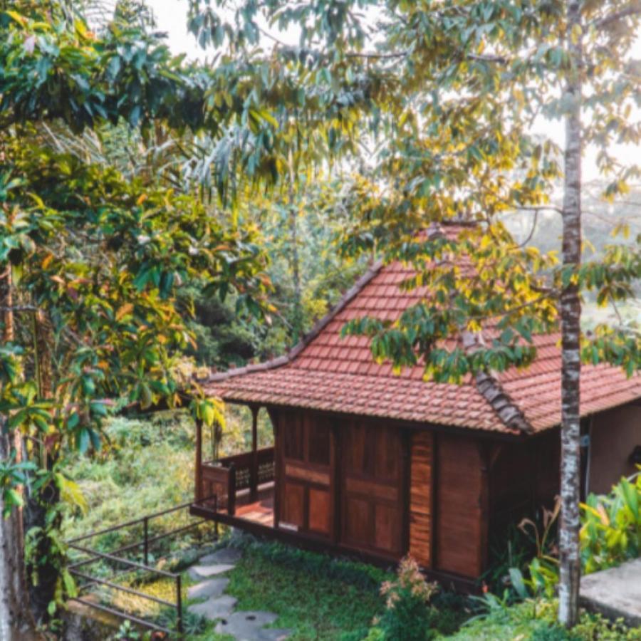 The Jungle Villa Убуд Экстерьер фото