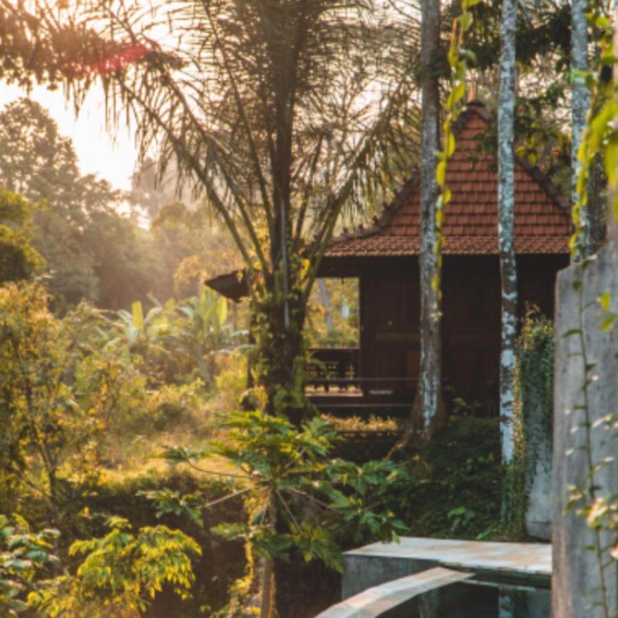 The Jungle Villa Убуд Экстерьер фото