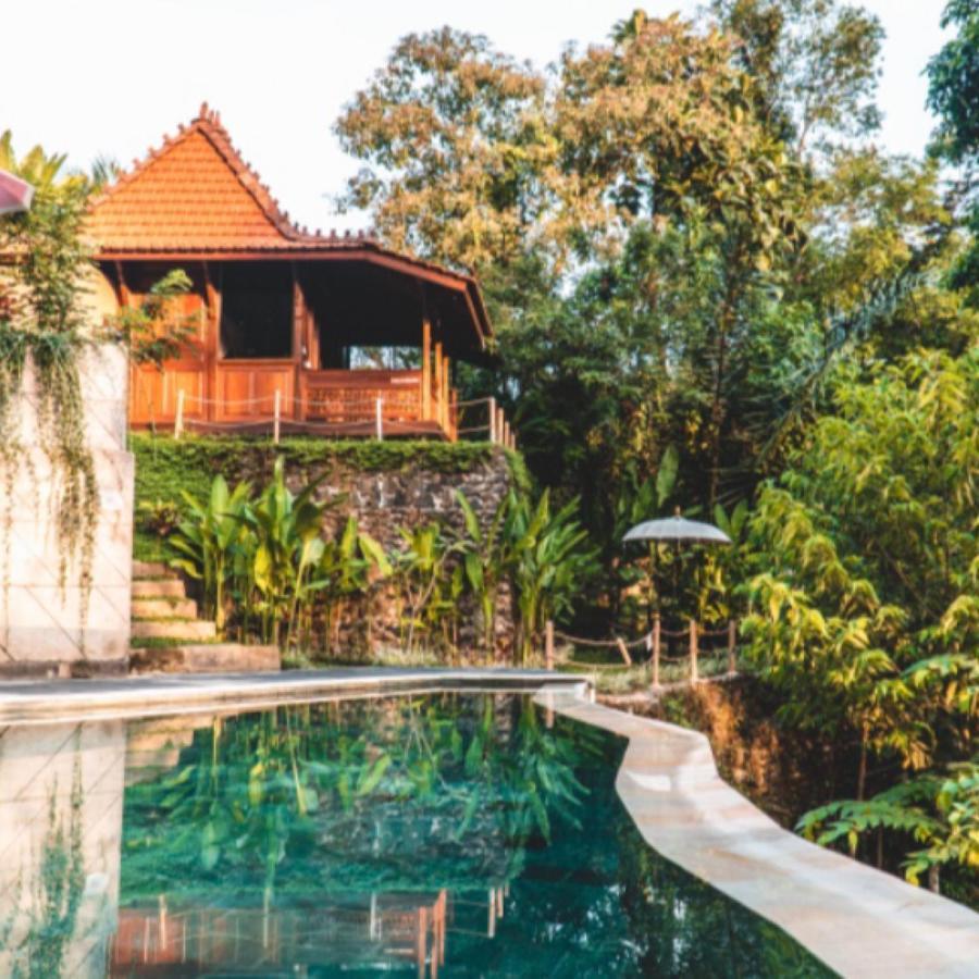 The Jungle Villa Убуд Экстерьер фото