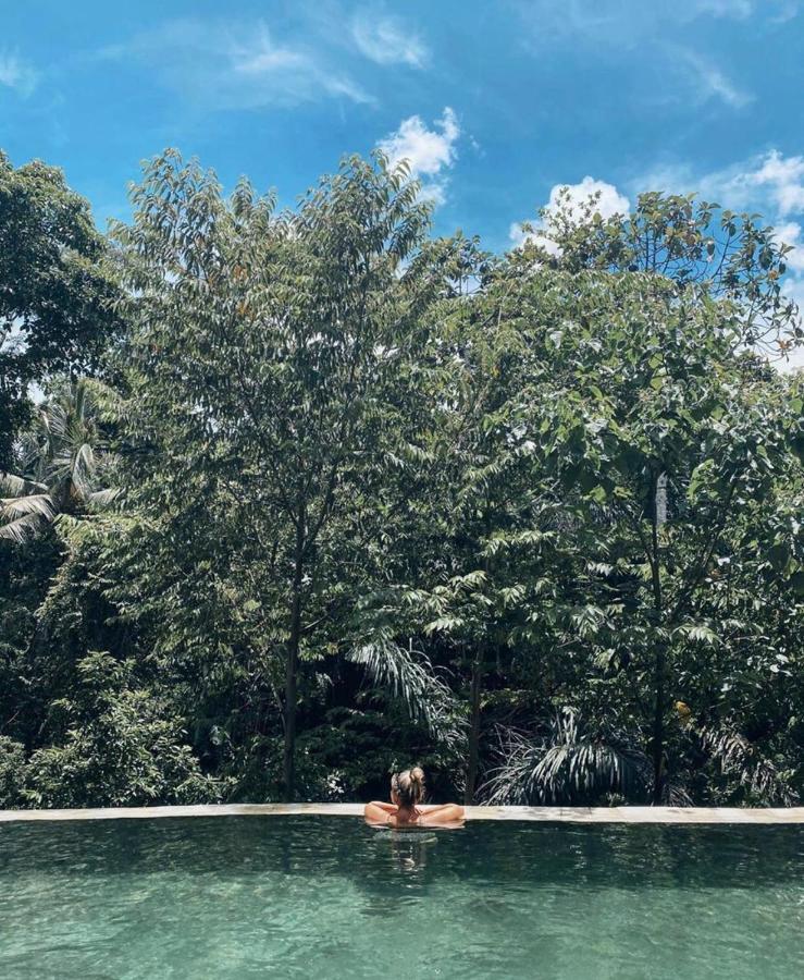 The Jungle Villa Убуд Экстерьер фото