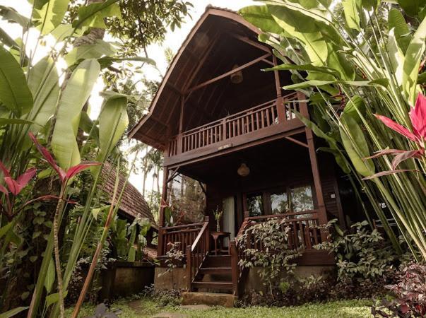 The Jungle Villa Убуд Экстерьер фото