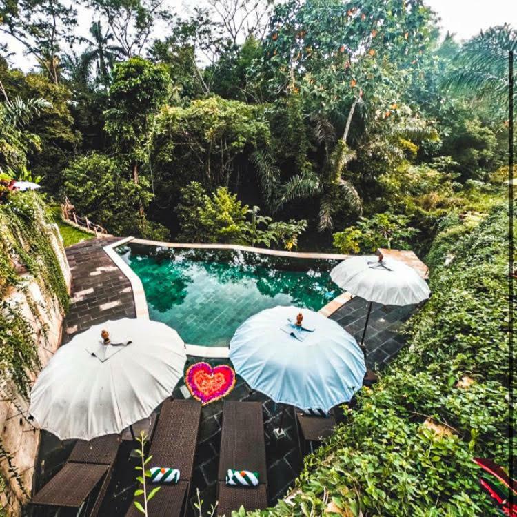 The Jungle Villa Убуд Экстерьер фото